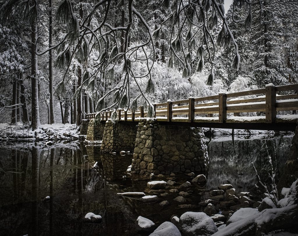 Upper Pines - George Peterson